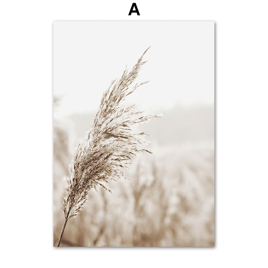 Poster Meer Pampasgras Beige Gold I Wandbilder Wohnzimmer & Schlafzimmer I  Deko Print Bilder I ohne Rahmen